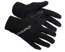 Winter Wind Gloves